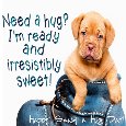 Sweet Puppy Hugs.