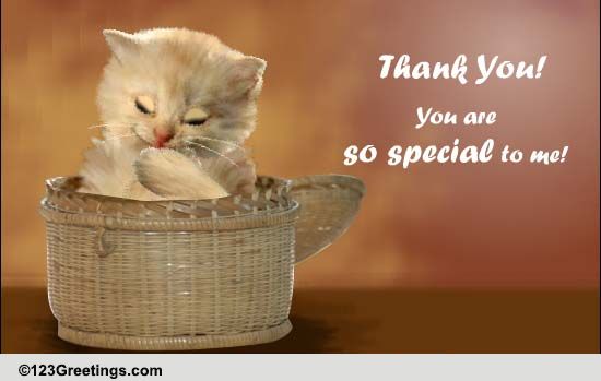 Thank You!