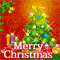 A Christmas Wish...