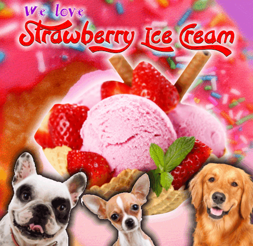 We Love Strawberry Ice Cream.