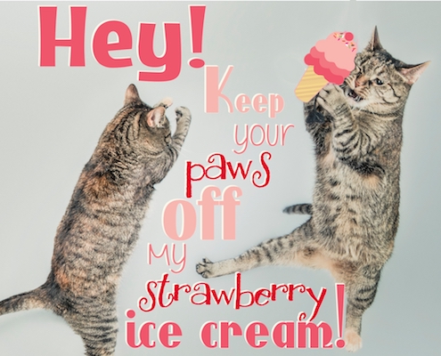 Kung Fu Ice Cream Cats!