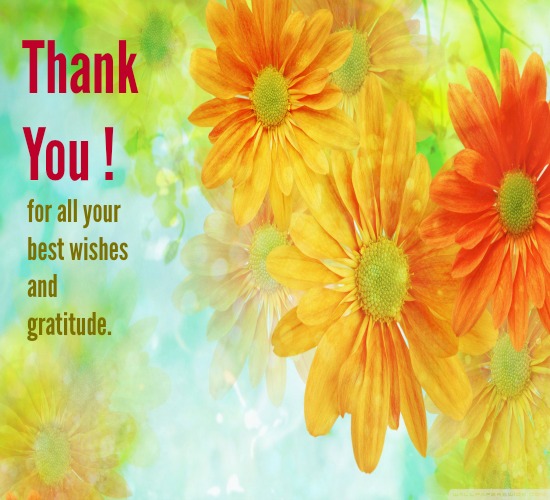 Heartiest Thanks For All Your Wishes. Free Thank You eCards | 123 Greetings