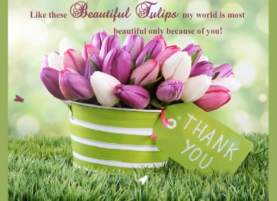 You Made My World Most Beautiful! Free Thank You eCards, Greeting Cards ...