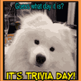 It’s Trivia Day!