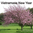 Happy Vietnamese New Year.