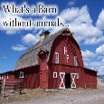 My Happy Barn Day Ecard.