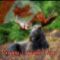 Canada Day Moose...