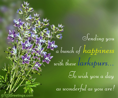 A Bunch Of Happiness With Larkspurs.