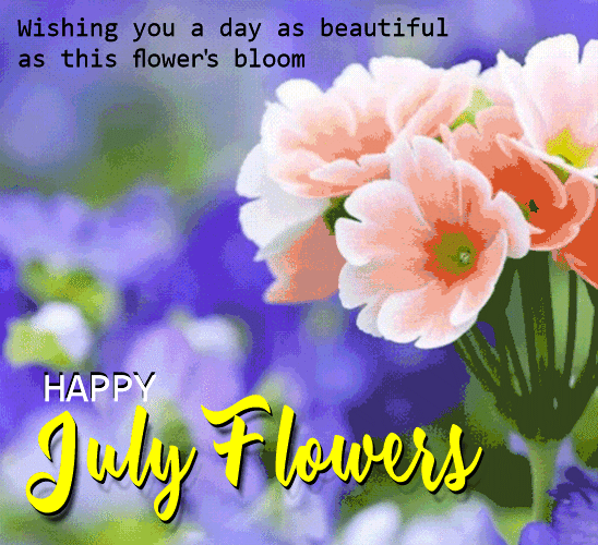 A Beautiful July Flowers Card For You.