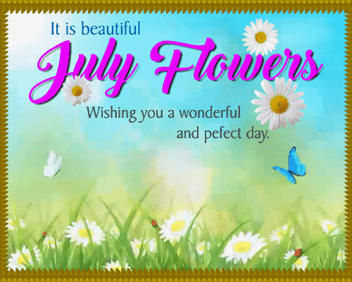 A Wonderful And Perfect July Flowers.