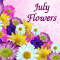 July Flowers Greetings!