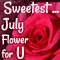 Sweetest July Flower!
