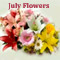 Beautiful July Flowers For You!