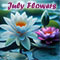Beautiful Water Lilies...