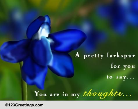 For Someone In Your Thoughts.