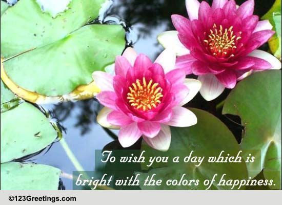 Colors Of Happiness...