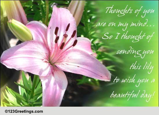 Thoughts Of You... Free July Flowers eCards, Greeting Cards | 123 Greetings