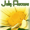 July Flowers In Full Bloom!