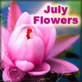 Send July Flowers Ecard!