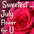 Send July Flowers Ecards!