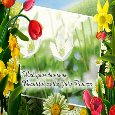Beautiful July Flowers Day Ecard.