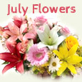 Beautiful July Flowers Just For You...