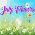 A Wonderful And Perfect July Flowers.