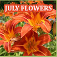 Flowers Bring Color To Your World!