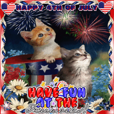 Have Fun At The Fireworks Kittens!