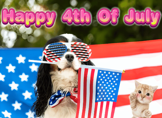 Celebrate The 4th Of July!