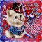 Cute 4th Of July Wishes Cat.
