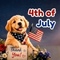 A Courteous 4th Of July Thank You Card