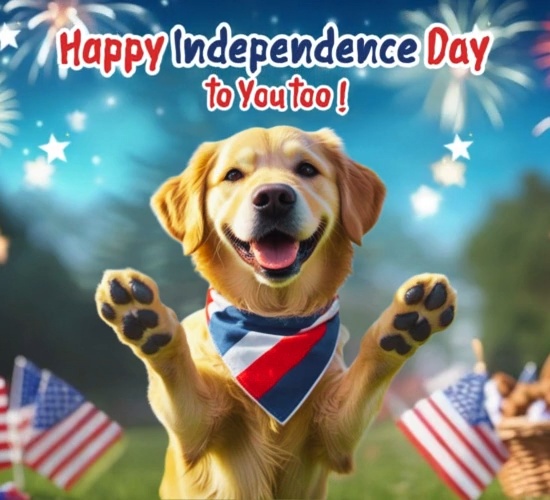 Thanks For July 4th Joy