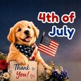 A Courteous 4th Of July Thank You Card