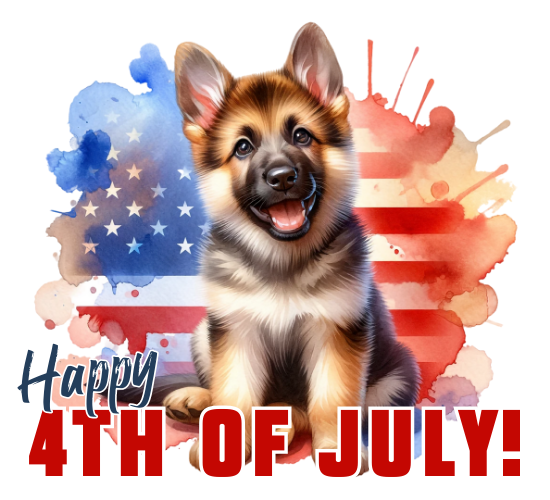 Happy 4th July Puppy!