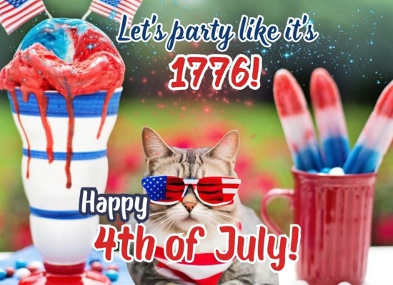 Party Like Its 4th Of July