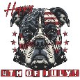 4th Of July Dog Card.