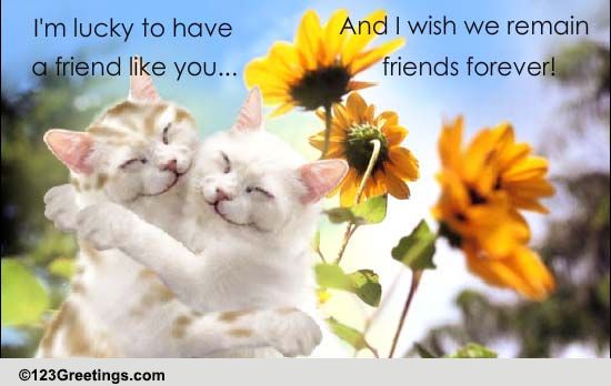 Remain Friends Forever! Free Friendship Festival eCards, Greeting Cards ...