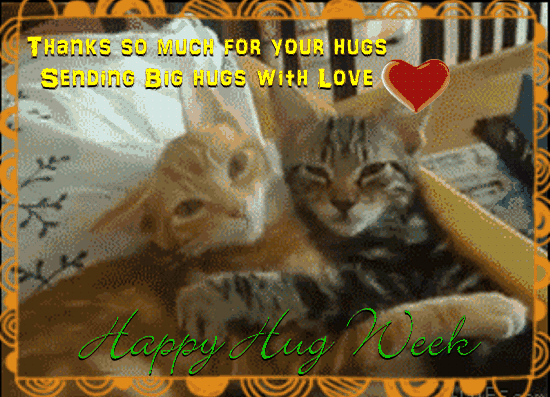 2 Kitties On Happy Hug Week.