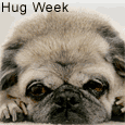 Come And Hug Me Soon!