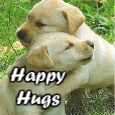Arms To Hug Everyone!