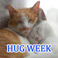When I Hug You It Brings Care!