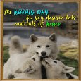 Lots And Lots Of Kissing Day.