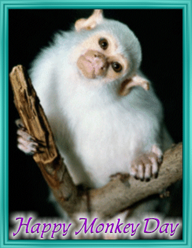 Happy Monkey Day To All!