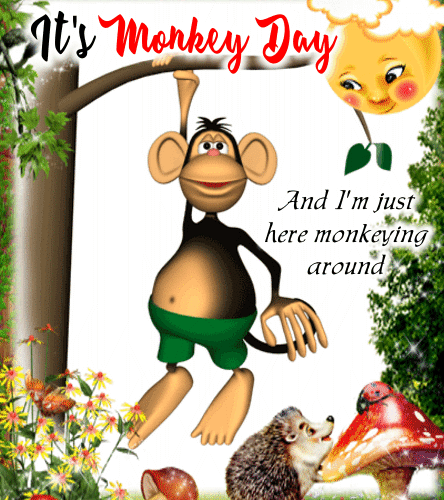 I’m Just Here Monkeying Around.