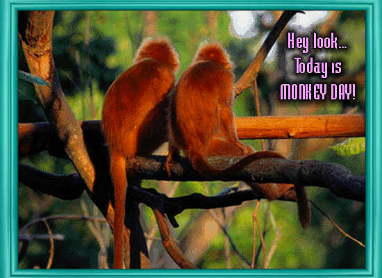 Hey Look, Today Is Monkey Day!