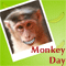 A Monkey Day Humor.
