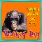 A Monkey Day Wish Card.