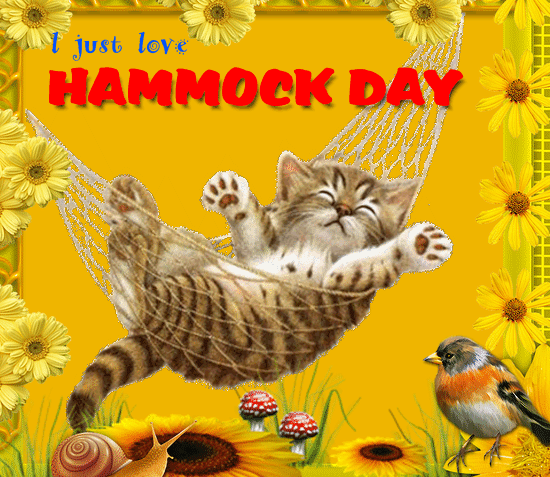 I Love Hammock Day!