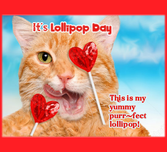 This Is My Purr-Fect Lollipop!